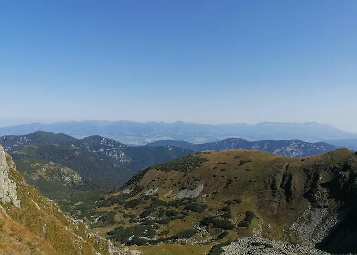 Spojar * Žiar